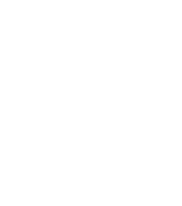 Maple Leaf Background Image